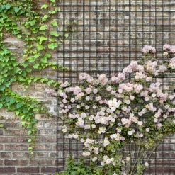 Yardworks 3' X 6' Black Welded Fence Panel -Yardworks shop 1712650 Alt4 111721